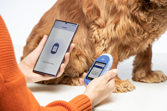 Treats For Diabetic Dogs: Find the Best Homemade Treats for Your Diabetic Dog!